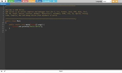 Image result for Java Programming Compiler