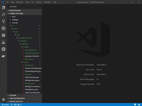 Toradh íomhá ar Java Coding in Visual Studio Code