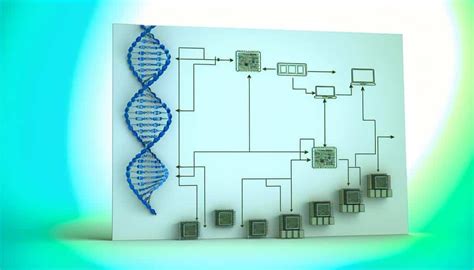 Image result for Genetic Algorithm in Machine Learning