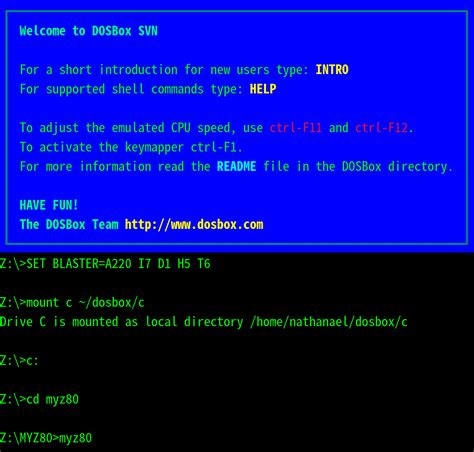 Advanced DOSBox Tutorial-এর ছবি ফলাফল