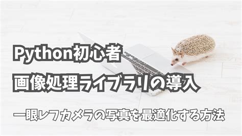 Image result for Graphic Library Python