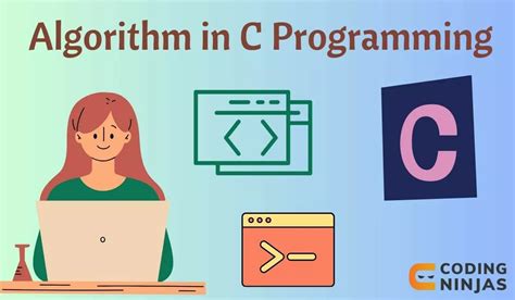 Image result for Basic Algorithm of C Program