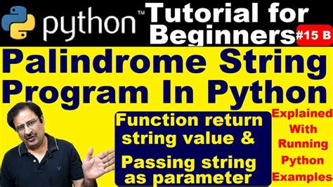 Image result for Python Function Return String