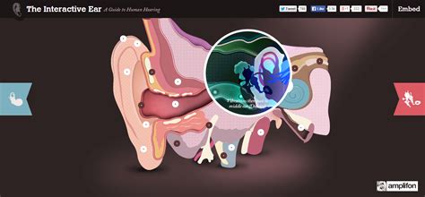 Using JavaScript に対する画像結果
