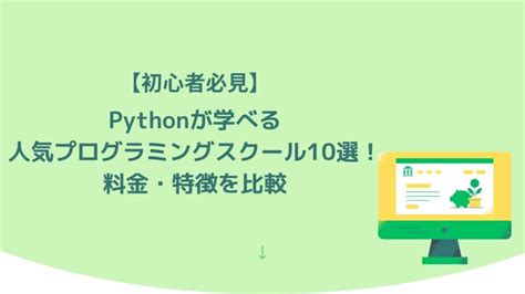 Any Basic Python Program に対する画像結果