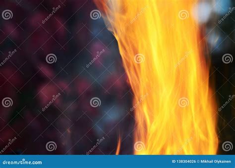 Image result for Autumn Burning