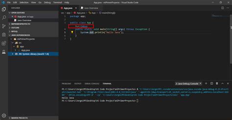 Toradh íomhá ar Visual Studio Code Extensions for Java