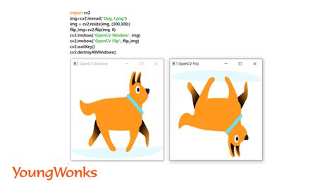 Image result for Image Processsing Python