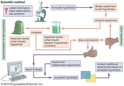 Image result for Basic Scientific Method