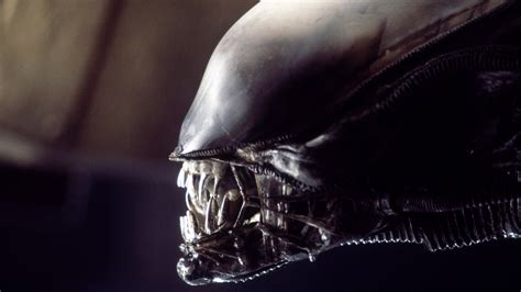 Image result for Alien FR