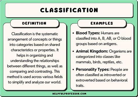 Image result for Classification Questions Examples