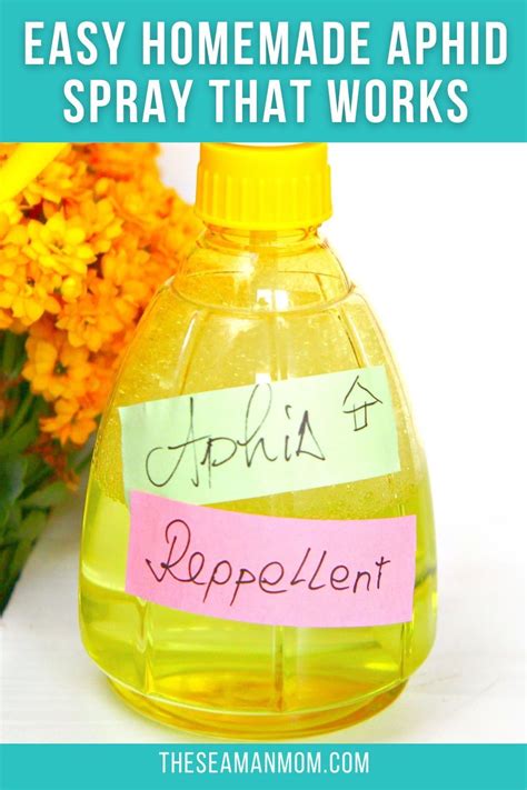 Toradh íomhá ar Best Homemade Aphid Spray