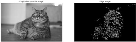 Image result for Image Processsing Python