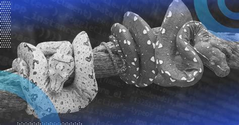 Image result for Class Attributes Python