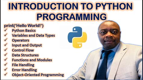 Image result for Programing in Python YouTube Tutorial
