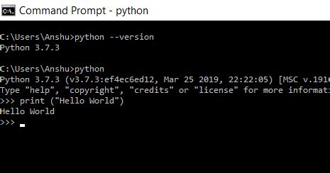 Python First Program HelloWorld に対する画像結果