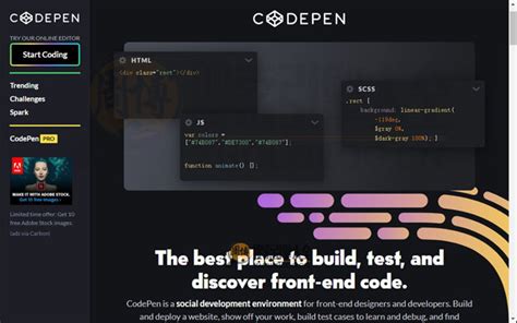 Image result for CodePen Io JavaScript