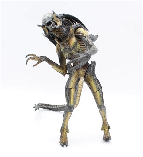 Image result for Alien Predator Hybrid