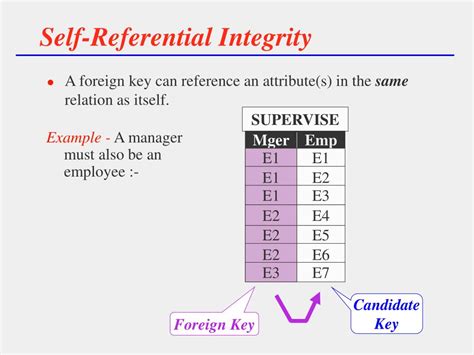Referential Integrity SQL に対する画像結果