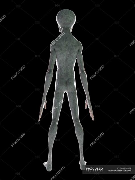 Alien Back Window に対する画像結果