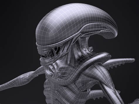 Image result for Alien Xenomorph Model