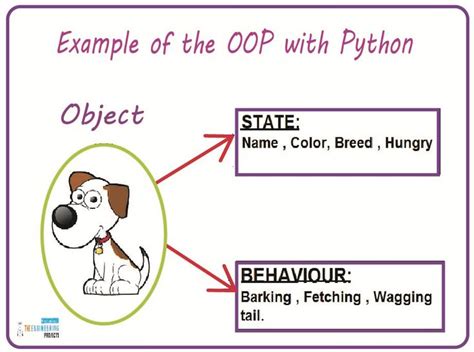 Image result for Object-Oriented Programming Python