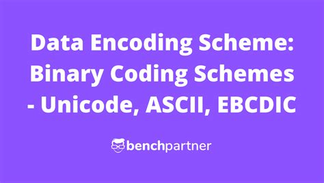 Image result for Computer Coding Scheme