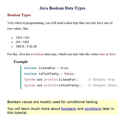 Image result for Java Data Type Using Boolean