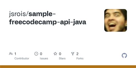 Image result for Freecodecamp Java Tutorial