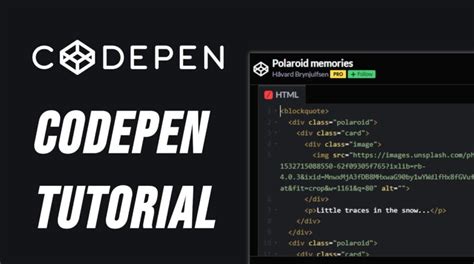 Image result for How to Export URL Code Pen