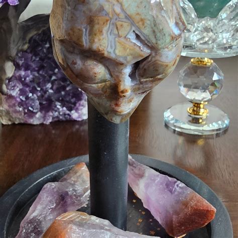 Image result for Alien Snake