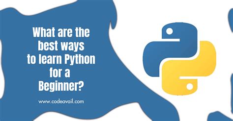Image result for Learn Python For Dummies