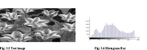 CBIR Using MATLAB に対する画像結果