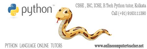Image result for Online Python Tutor