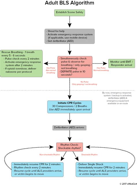 Image result for ACLS Algorithms