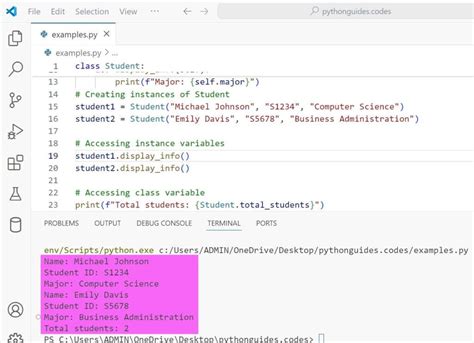 Python Instance Variables vs Class Variables に対する画像結果