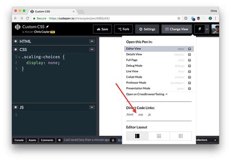 Image result for CodePen CSS