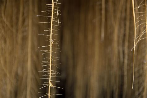 Afbeeldingsresultaten voor Web Analytic Reports