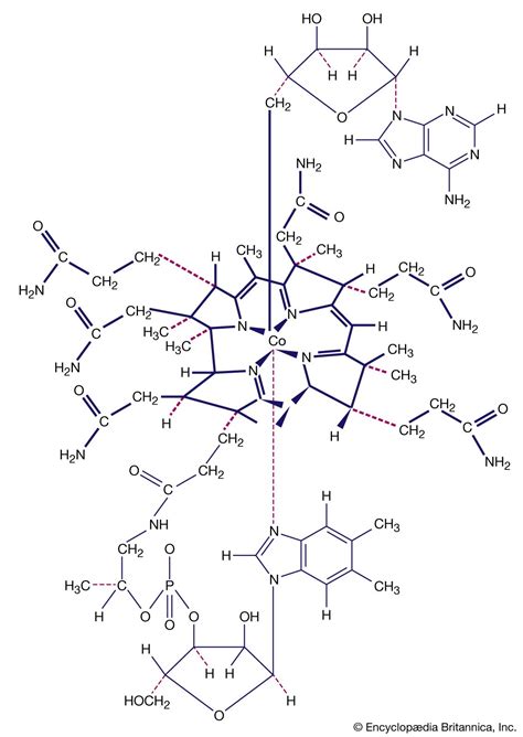 Image result for Coordination Compounds