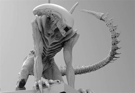Image result for Alien Xenomorph Model