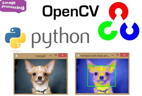 Image result for OpenCV Tutorial Python