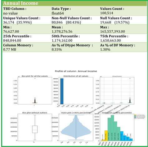 User Profile Display Project Using Python に対する画像結果