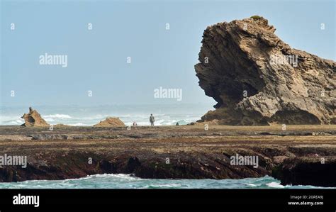 Image result for Dwarfed