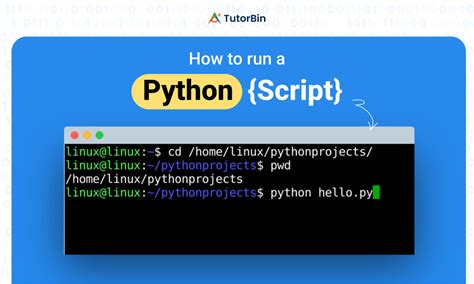 Image result for Python Script Tutorial