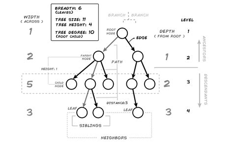Image result for Tree Python Code