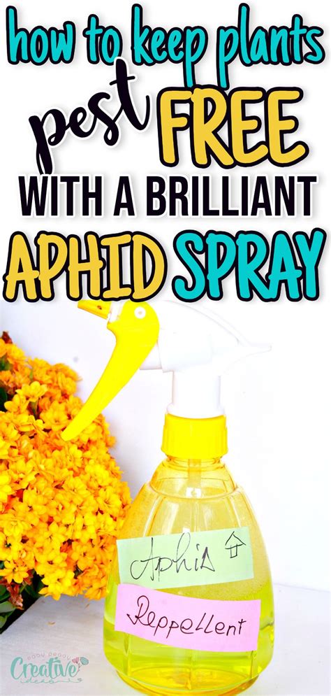 Toradh íomhá ar Best Homemade Aphid Spray