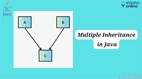 Image result for Implement Inheritance in Java Example