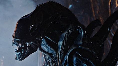 Image result for Alien Sequel
