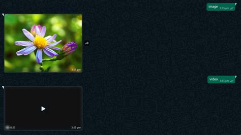 نتيجة الصورة لـ Whats App Bot Using Python