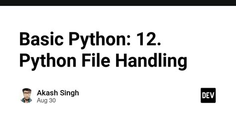 Image result for How to Make Python 12 Main Python